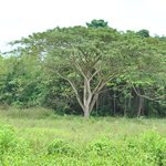 Photo taken by Natascia V