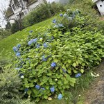 Photo taken by Lara N