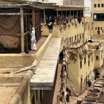 Photo taken by Paula H