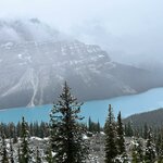 Photo taken by Virginia C