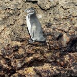 Photo taken by Sharon J