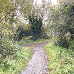 Photo taken by David L