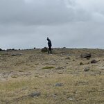 Photo taken by PETER S