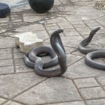 Photo taken by Jack K