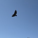 Photo taken by Sheri F