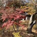 Photo taken by Adrian D