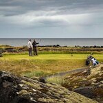 Photo taken by Kim C