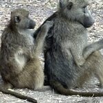 Photo taken by Paul B