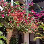 Photo taken by Michael T