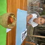 Photo taken by Sangini S