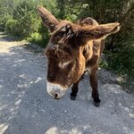 Photo taken by Tom L