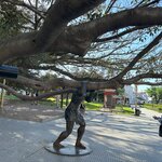 Photo taken by Jaya R