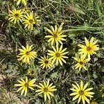 Photo taken by Rosemary S