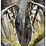 Photo taken by Fiona C