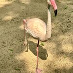 Photo taken by Kaitlyn O