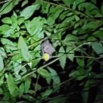 Photo taken by Sarah R