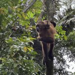 Photo taken by Emily F