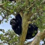 Photo taken by Michael L