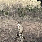 Photo taken by rhonda c