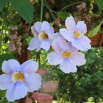 Photo taken by Pat K