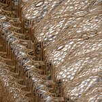 Photo taken by Kristy P