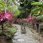 Photo taken by Ross V