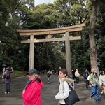 Photo taken by Ian M