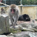 Photo taken by Amy Z