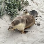 Photo taken by Rosemary S