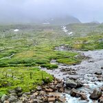 Photo taken by Tamara N