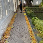 Photo taken by Mary R