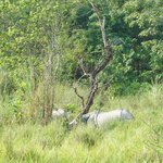 Photo taken by Emily K