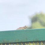 Photo taken by Anna L