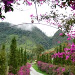 Photo taken by Brett F