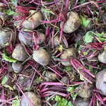 Photo taken by Susan R