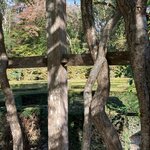 Photo taken by Kristin S