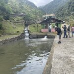 Photo taken by Mick K