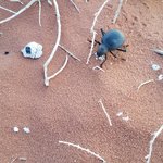 Photo taken by Beata p