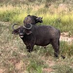 Photo taken by Michael L