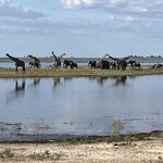 Photo taken by rhonda c