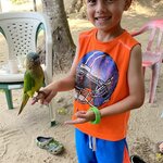 Photo taken by Tara V