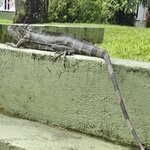 Photo taken by Donna R