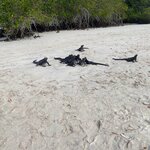 Photo taken by Hale S