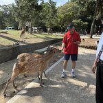 Photo taken by Susan M