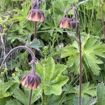 Photo taken by Deann M