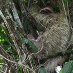 Photo taken by Gill P