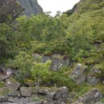 Photo taken by paolo c