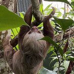 Photo taken by Tobi S