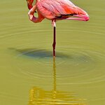 Photo taken by Katherine A