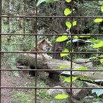 Photo taken by Jill B